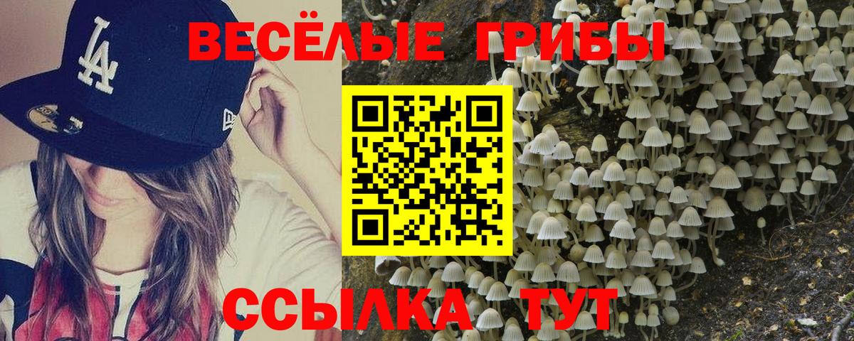 Псилоцибиновые грибы мухоморы Муравленко