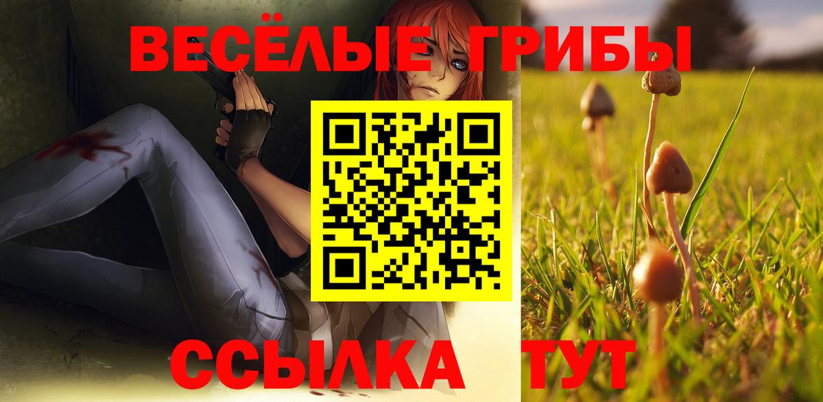 Муравленко  Галлюциногенные грибы ЛСД  Вход с VPN 